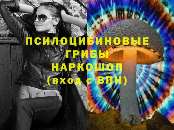 бошки Магас