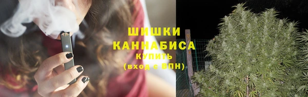 тгк Майский