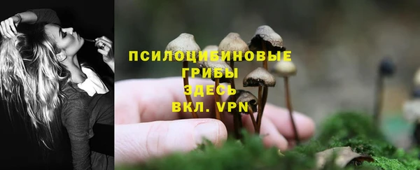 винт Липки
