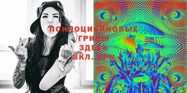 мдпв Лихославль